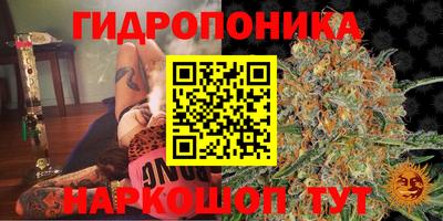 метадон Аргун