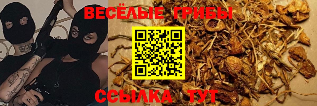 Брянск  Cocaine  ТГК  Мефедрон кристаллы  Вход с VPN  Где найти наркотики? 
